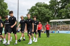 SVS_ILV